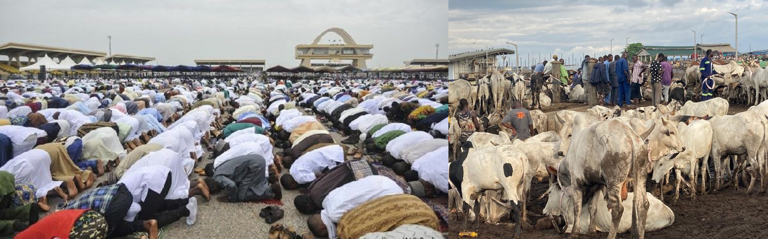 The outbreak of anthrax threatens Eidul Adha Celebration in Ghana