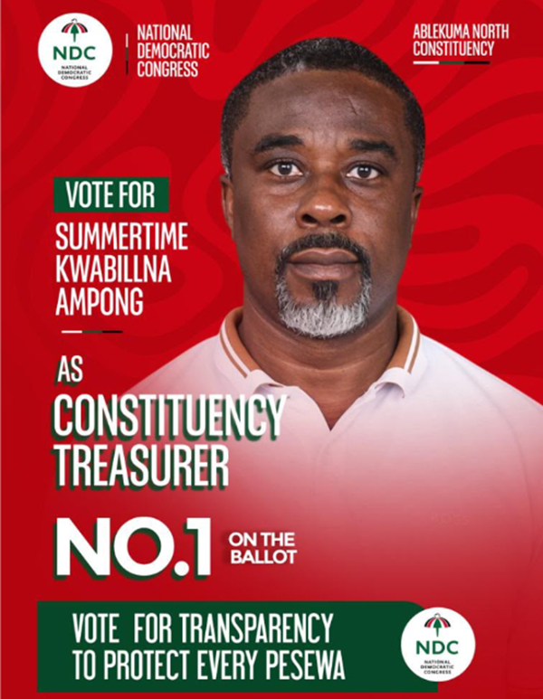 Summertime Kwabillna Ampong elected Ablekuma North NDC Treasurer