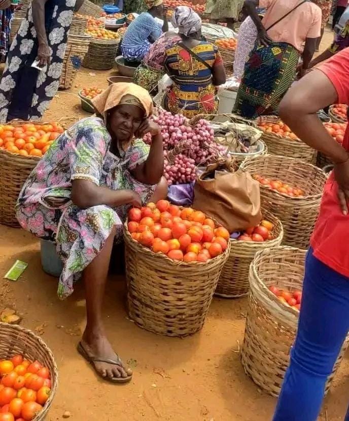 Volta Region: Crate shortage, lack of buyers leave tonnes of Avume tomatoes to rot