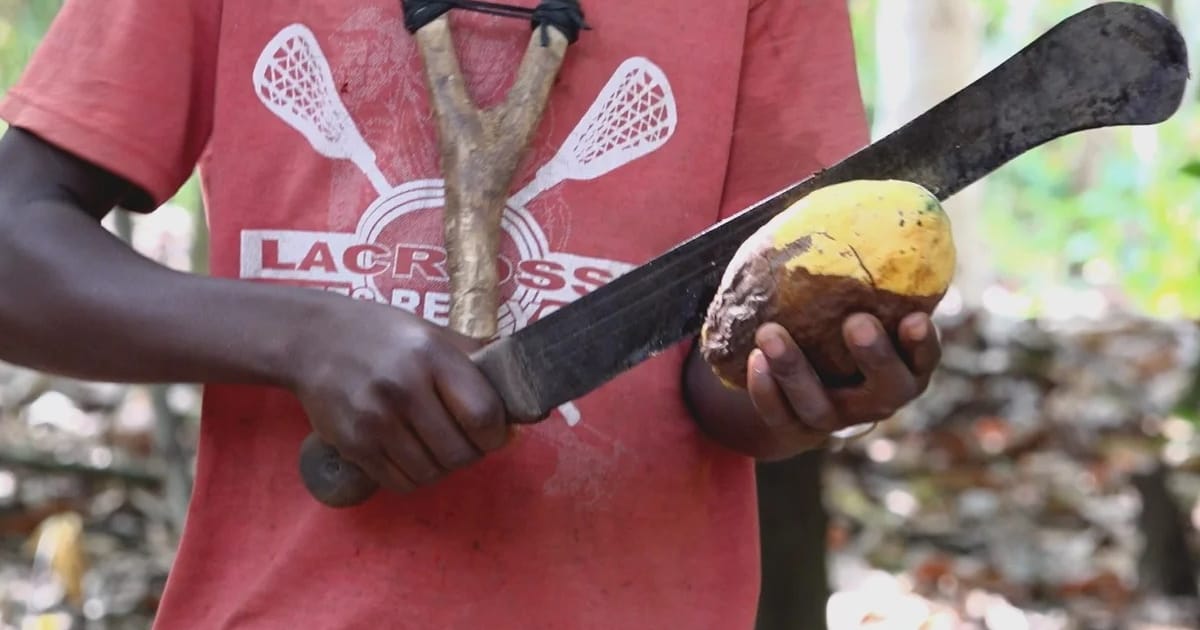 How an American rescued over 300 children from serving as labourers on cocoa farms in Eastern Region of Ghana